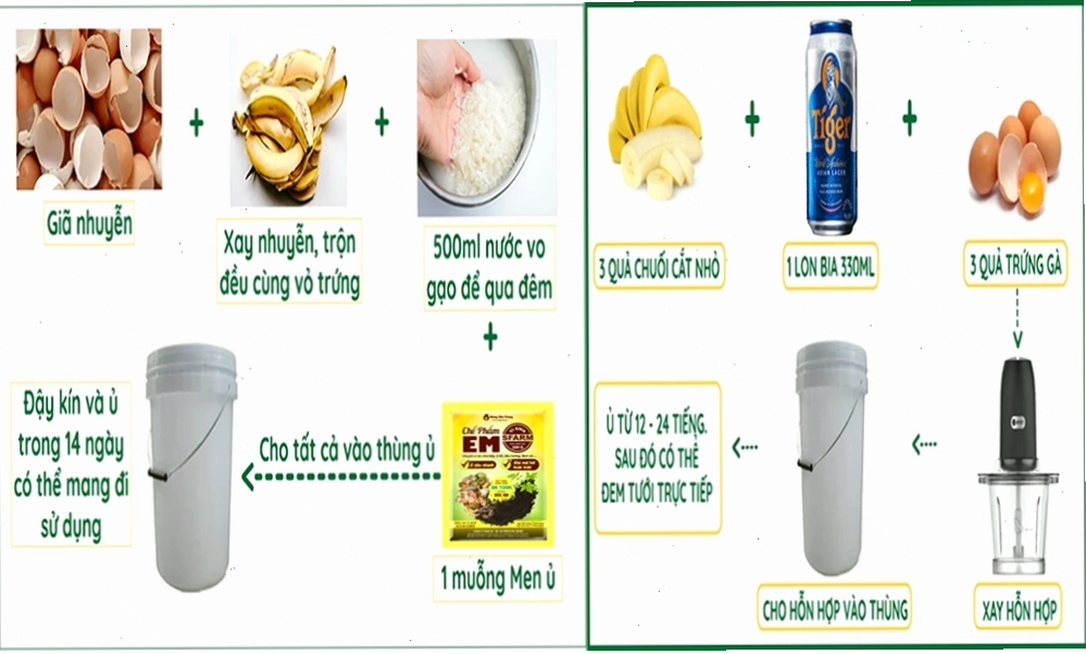 Các phương pháp ủ dịch chuối tưới lan