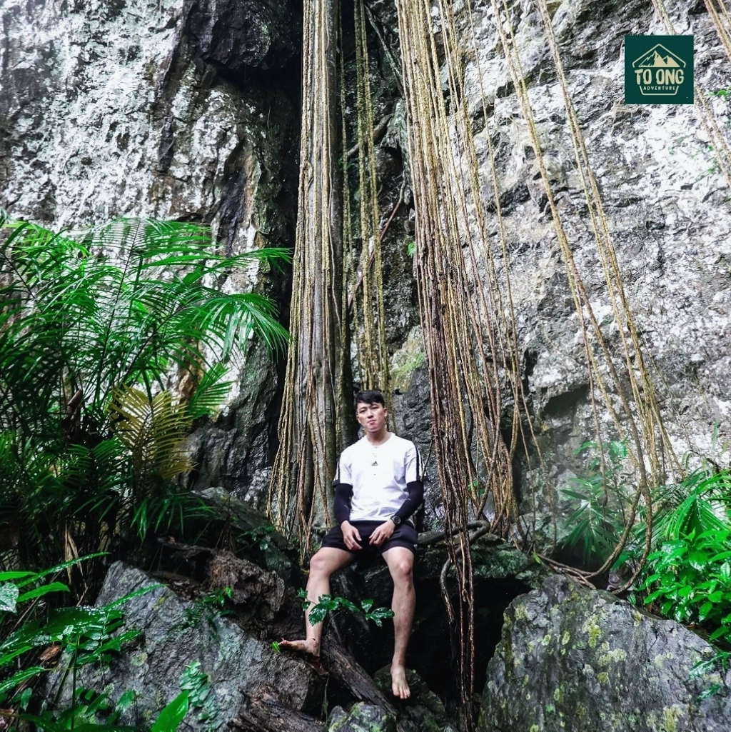 Cảnh quan rừng nguyên sinh trên đường trekking Thác K50