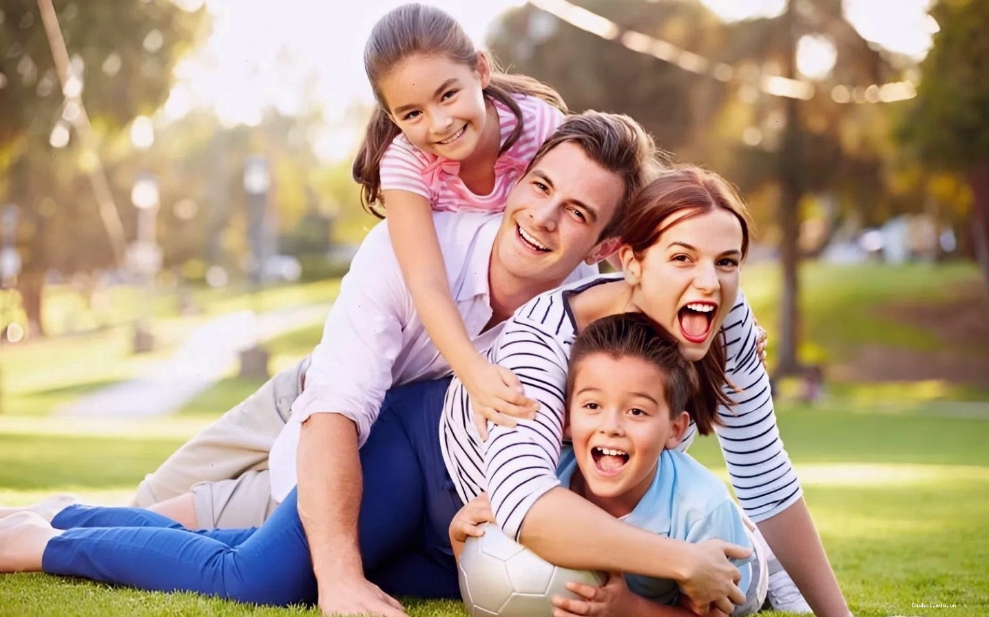 Câu nói hay về gia đình bằng tiếng Anh