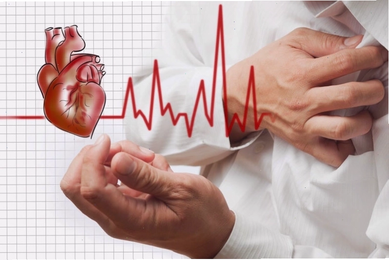 Cây mật nhân không thích hợp cho người có vấn đề về tim mạch