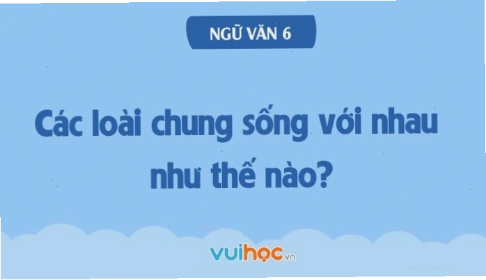 Cây tầm gửi ký sinh trên thân cây chủ