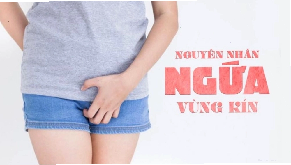 Có nhiều nguyên nhân khiến một người bị ngứa vùng kín nữ