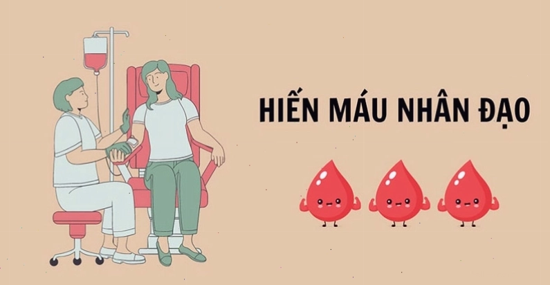 Cơ thể tái tạo máu sau khi hiến máu