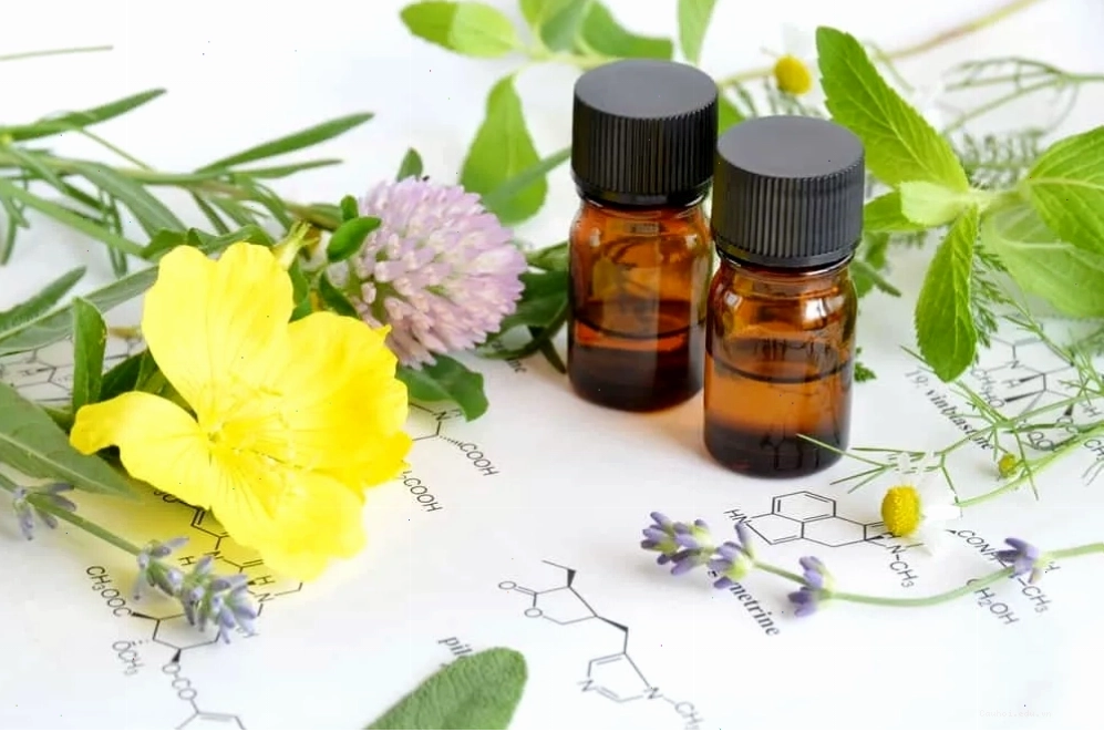 Dầu hoa anh thảo có thể hỗ trợ làm mềm cổ tử cung