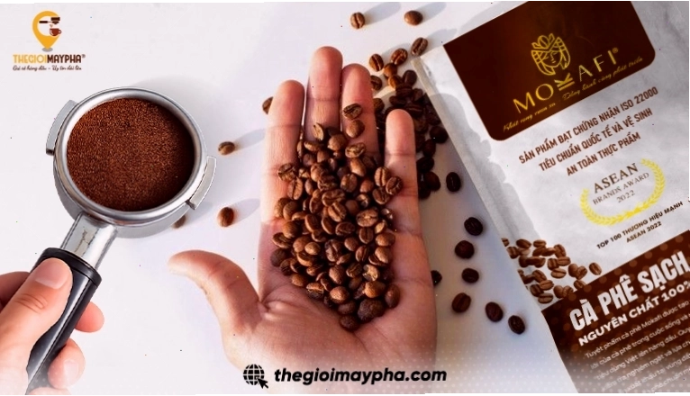 Định lượng và xay cà phê với máy xay chuyên dụng
