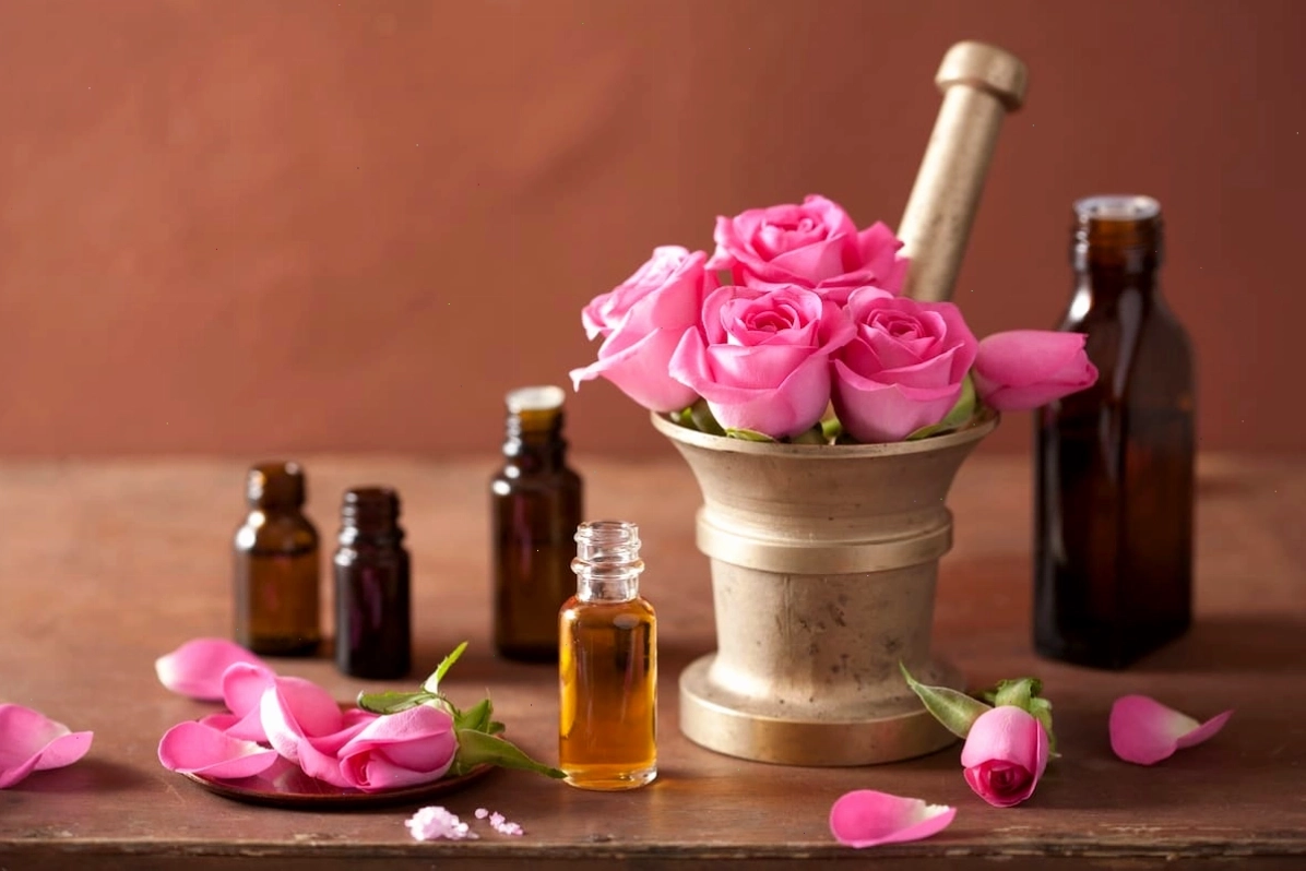 Dưỡng ẩm và trị thâm môi hiệu quả bằng dầu hoa hồng