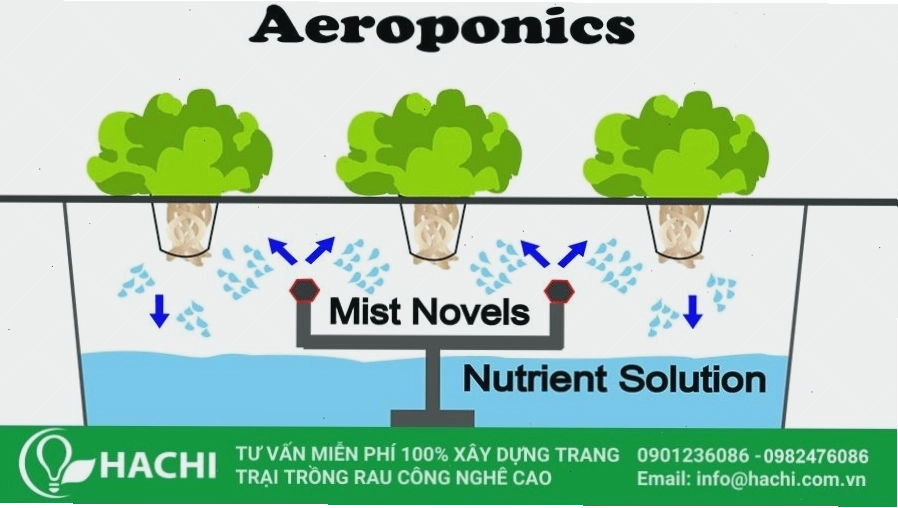 Hệ thống trồng rau khí canh với bộ phun sương