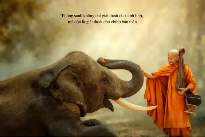 Hình ảnh đẹp về thiên nhiên và các loài động vật hoang dã