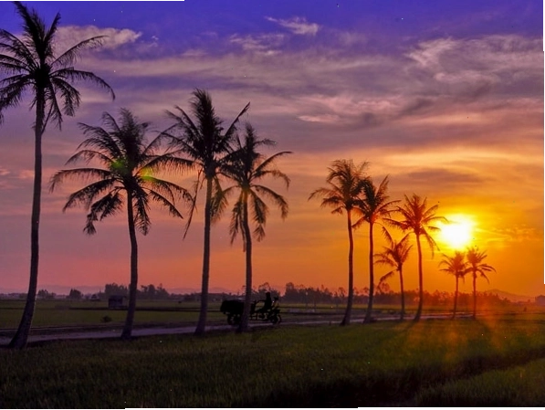 Hình ảnh gia đình sum vầy thể hiện tình cảm quê hương