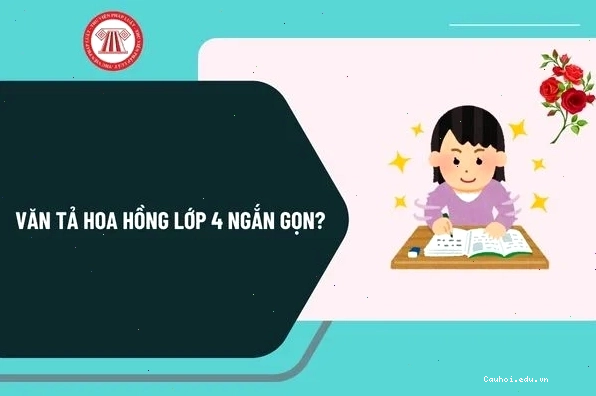 Hình ảnh minh họa hành động giúp đỡ người khác