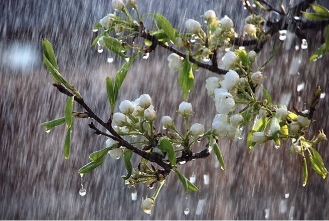 Hình ảnh minh họa quá trình hình thành mưa