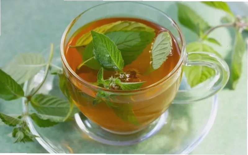 Hình ảnh minh họa quá trình pha trà lá nam, nhấn mạnh sự tỉ mỉ và cẩn thận