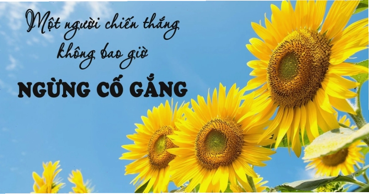 Hình ảnh minh họa sách và quá trình học tập liên tục