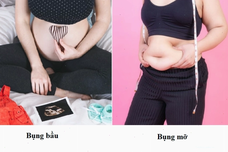 Hình ảnh minh họa sự khác biệt về hình dáng bụng bầu so với bụng mỡ