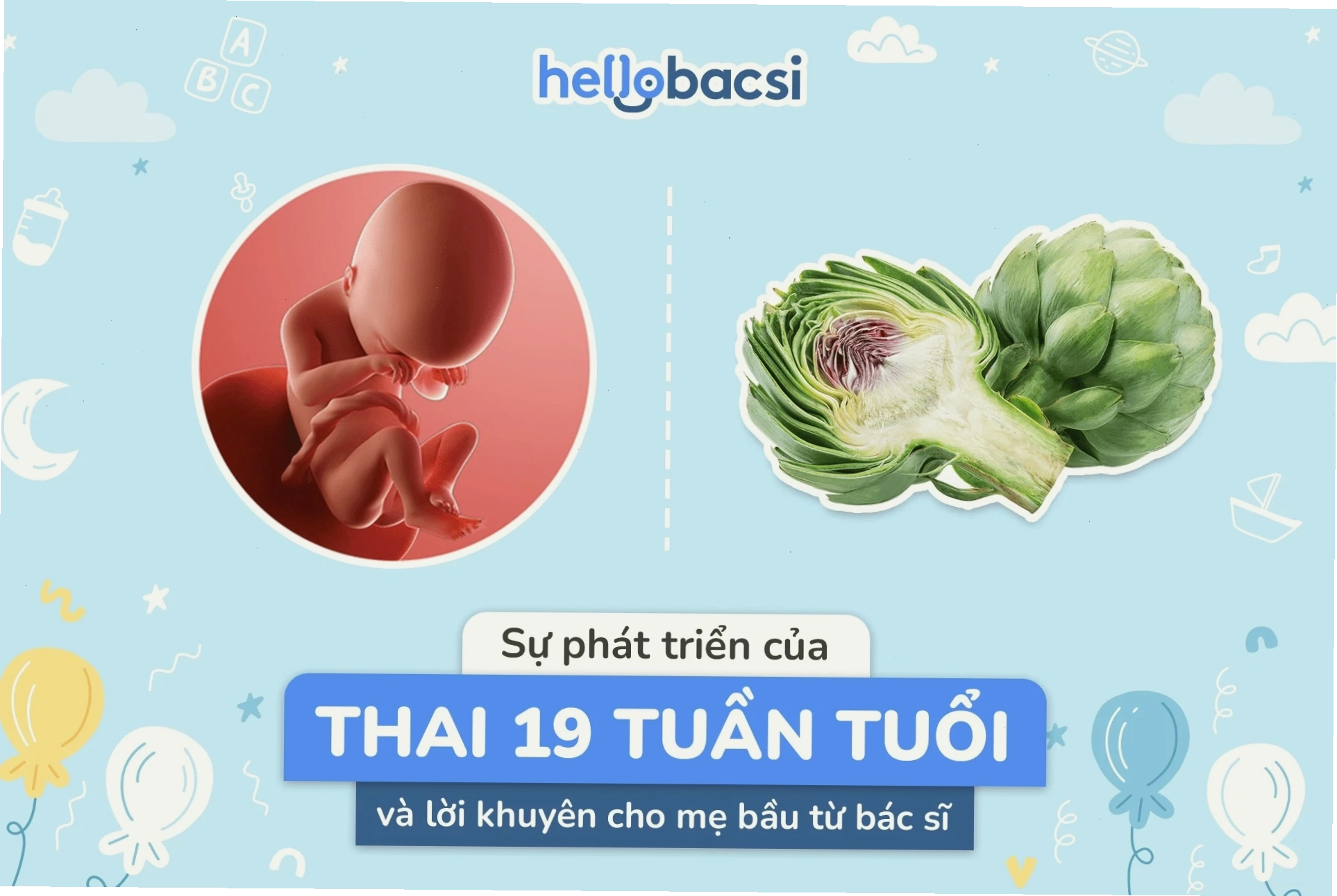 Hình ảnh minh họa thai nhi 19 tuần tuổi trong bụng mẹ