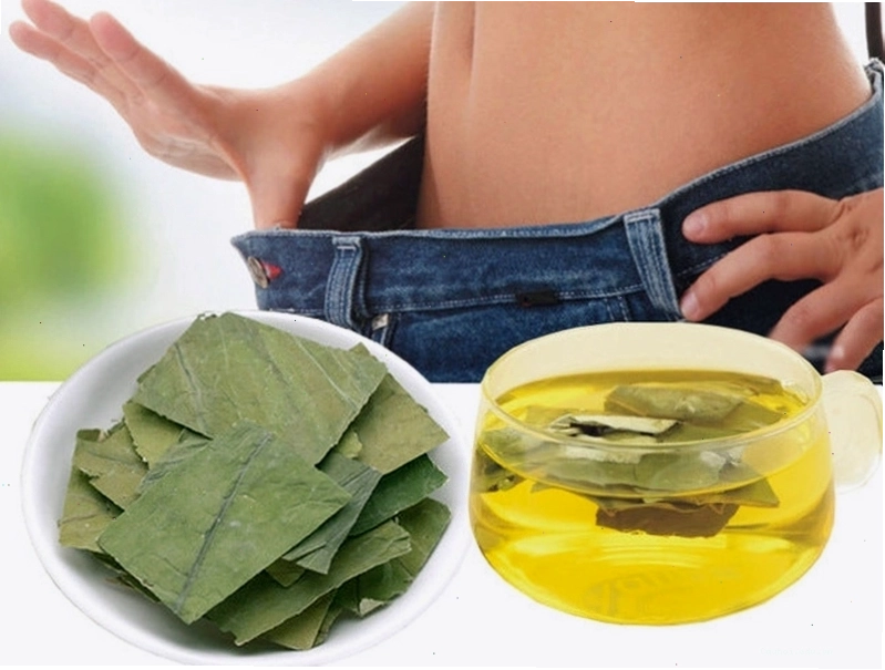 Hình ảnh minh họa thận và gan, nhấn mạnh nguy cơ tổn thương do sử dụng thảo dược không đúng cách