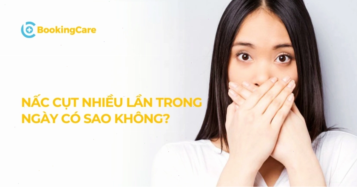 Hình ảnh minh họa về hệ thần kinh và cơ hoành liên quan đến nấc cụt