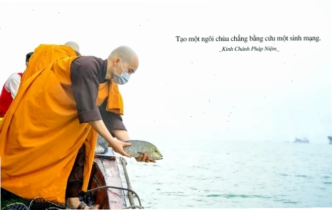Hình ảnh minh họa ý nghĩa của việc phóng sanh và lòng từ bi