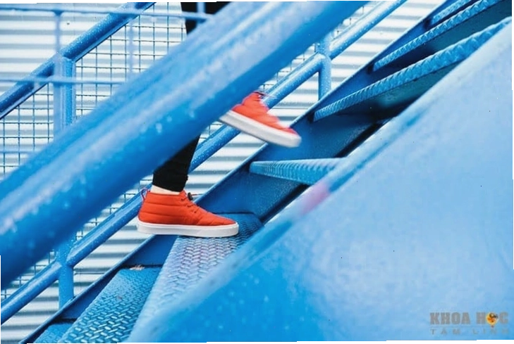 Hình ảnh về hành trình vươn tới thành công