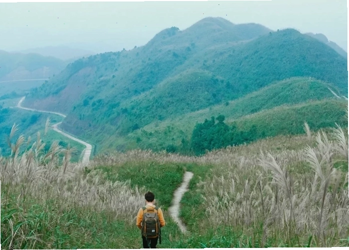 Lối vào sân bay Vân Đồn