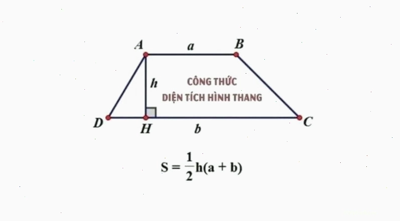 Minh họa bài tập tính diện tích hình thang cơ bản