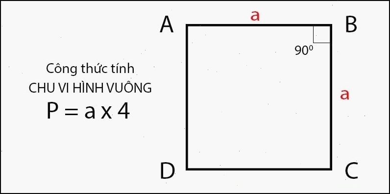  Minh họa công thức tính chu vi hình vuông