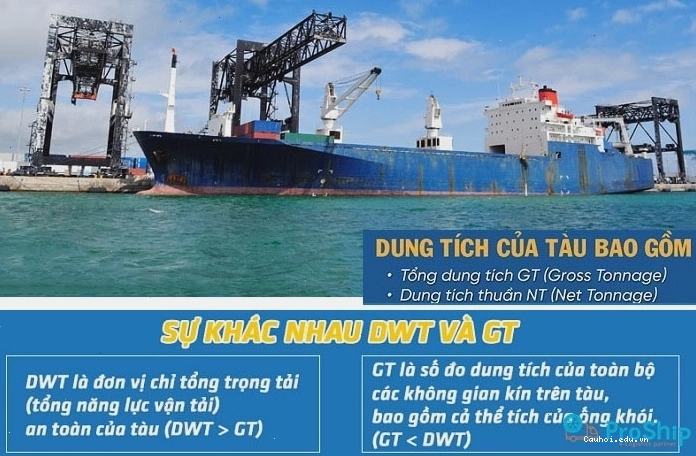 Minh họa đơn vị DWT trong ngành hàng hải