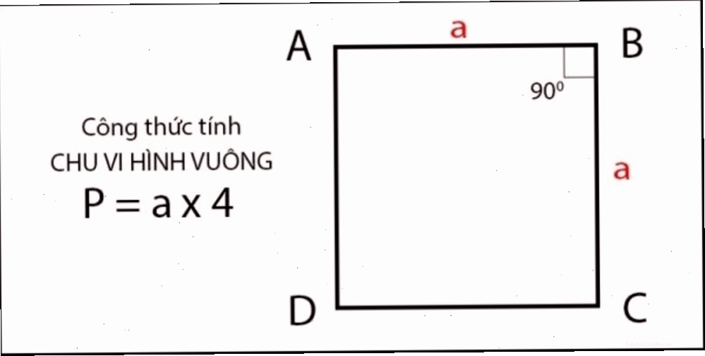 Minh họa hình vuông với các cạnh bằng nhau