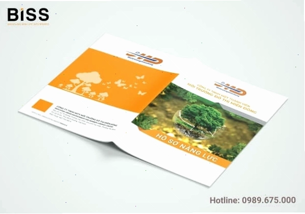 Mô tả chi tiết lĩnh vực hoạt động và sản phẩm dịch vụ trong hồ sơ năng lực