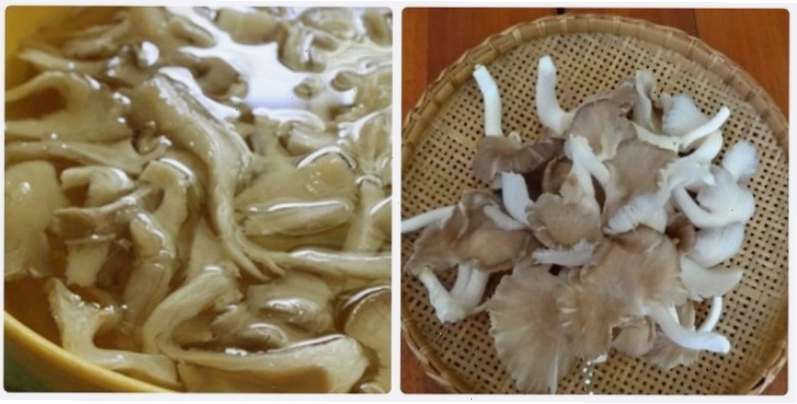 Nấm bào ngư xé nhỏ hoặc thái miếng vừa ăn cho món xào