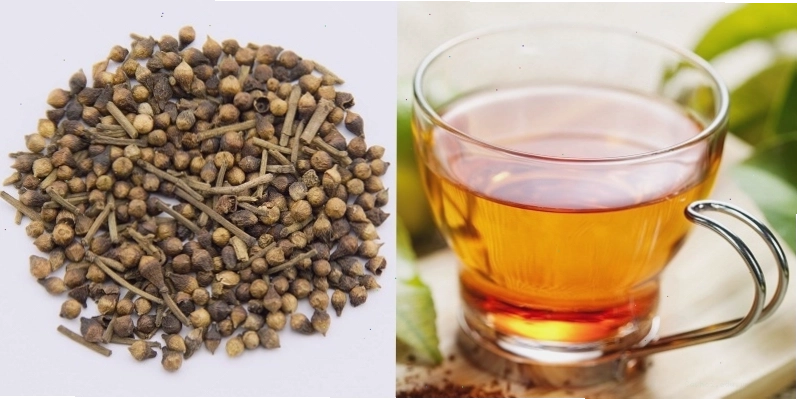 Nên dùng nụ, lá vối khô để pha trà
