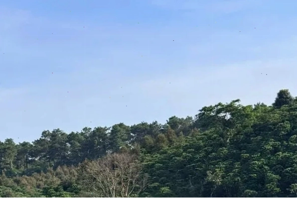 Nghệ sĩ Chí Tài biểu diễn