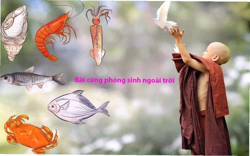Nghi thức cúng phóng sanh ngoài trời trang nghiêm