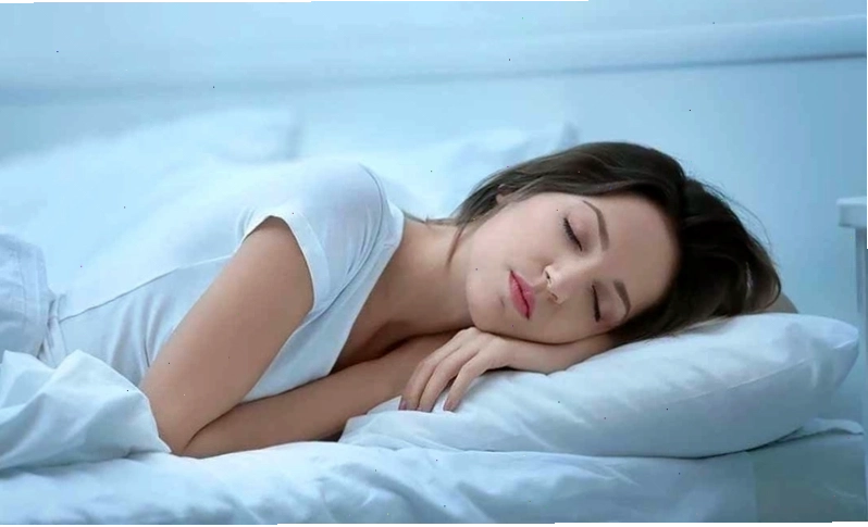 Ngủ mơ là một trạng thái cơ bản của giấc ngủ