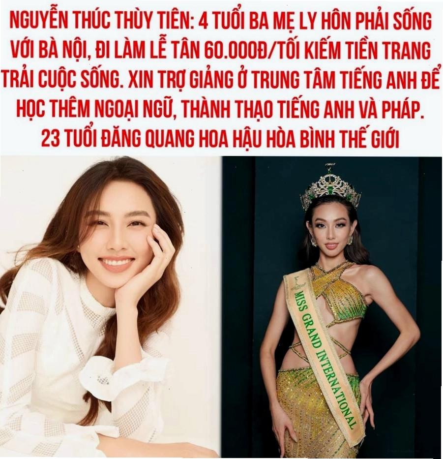 Nguyễn Thúc Thùy Tiên trong các hoạt động cộng đồng
