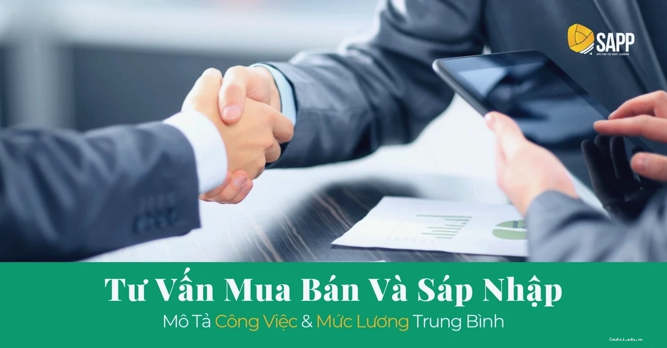 Nhà tư vấn M&A đang làm việc với các biểu đồ tài chính