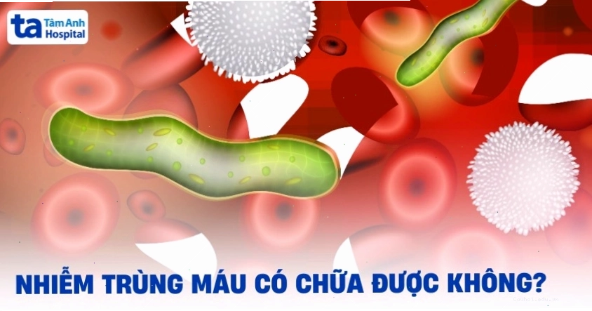 Nhiễm trùng máu có chữa được không? Lưu ý phòng ngừa bệnh