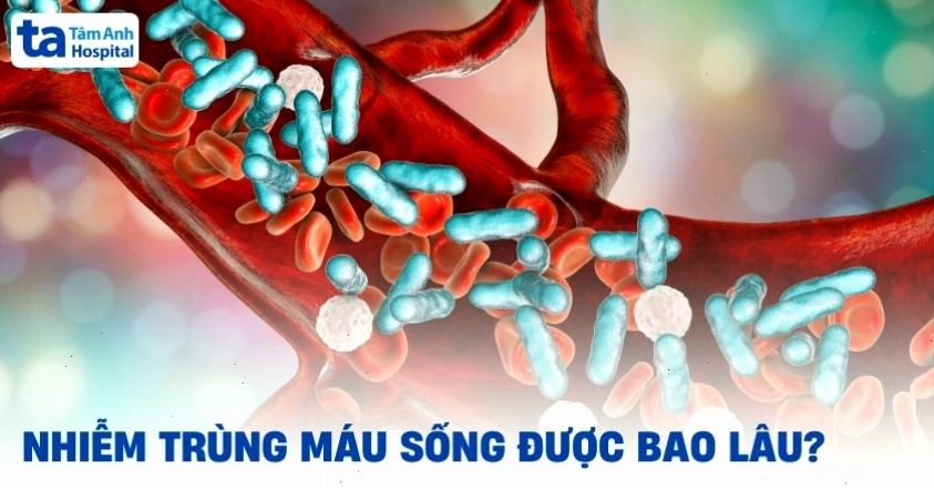 Nhiễm trùng máu sống được bao lâu?