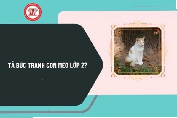 Những người bạn cùng nhau vui chơi