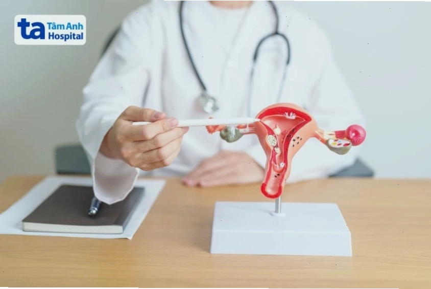 Nội mạc tử cung được cấu tạo gồm 2 lớp là lớp đáy và lớp nông
