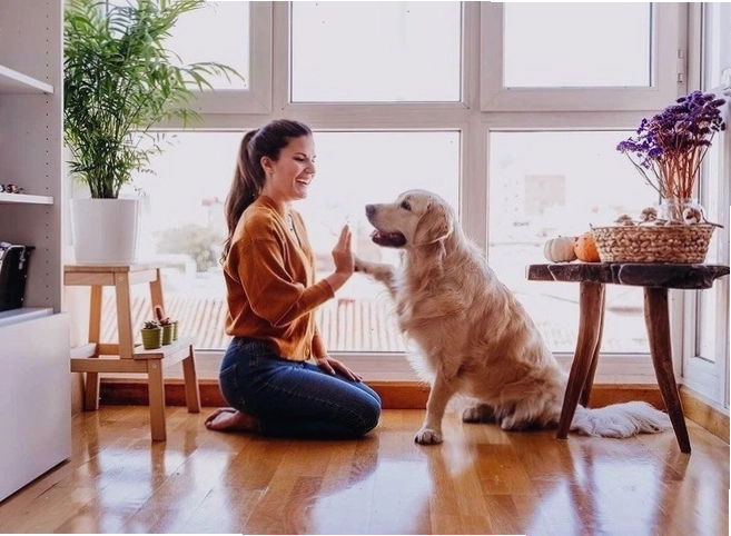 Nuôi thú cưng làm mô hình kinh doanh mới