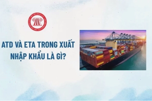 Quy trình làm thủ tục hải quan cho hàng hóa xuất nhập khẩu