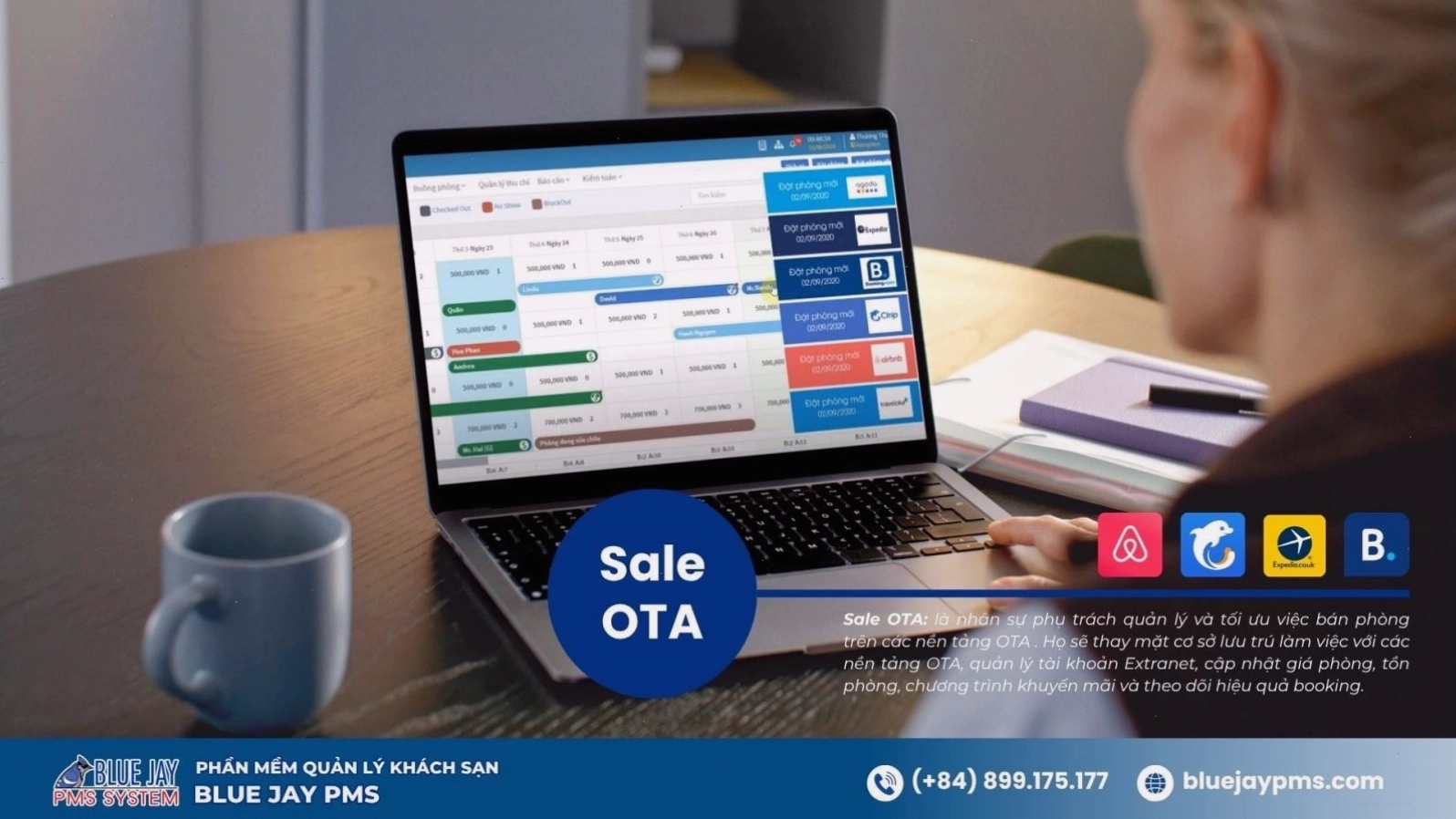 sale OTA là gì