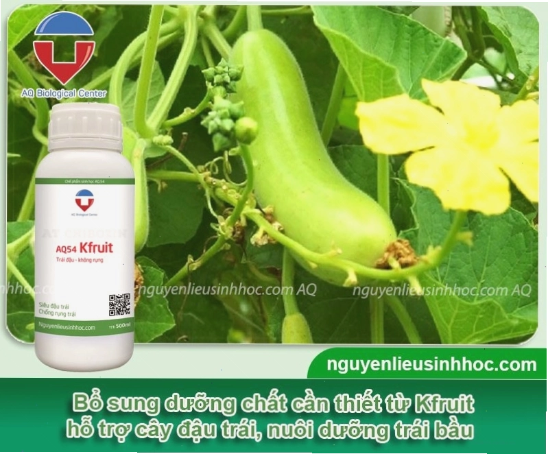 Sản phẩm kích trái chống rụng trái non K-fruit