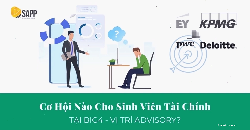 Sinh viên tài chính làm việc tại bộ phận Advisory Big4