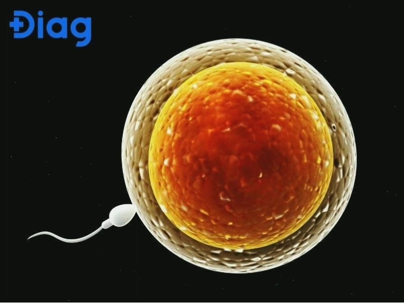Sử dụng biện pháp tránh thai an toàn để tránh mang thai ngoài ý muốn