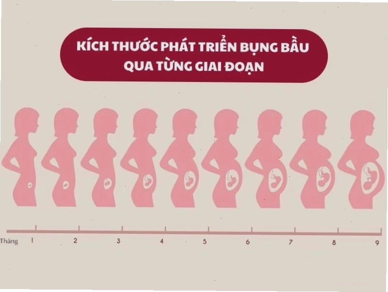 Sự thay đổi kích thước bụng bầu qua từng tháng thai kỳ