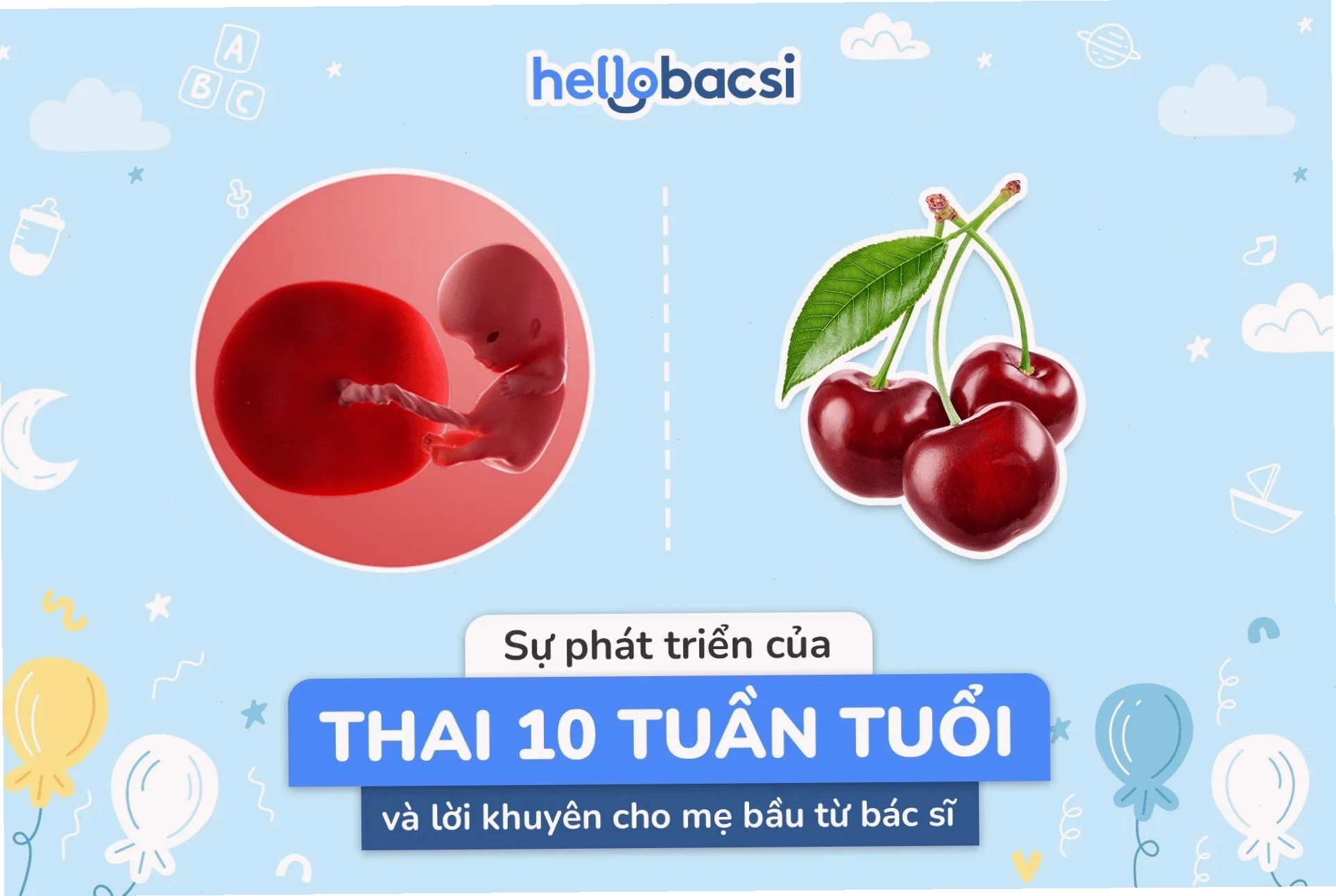 Thai nhi 10 tuần tuổi có kích thước bằng quả dâu tây