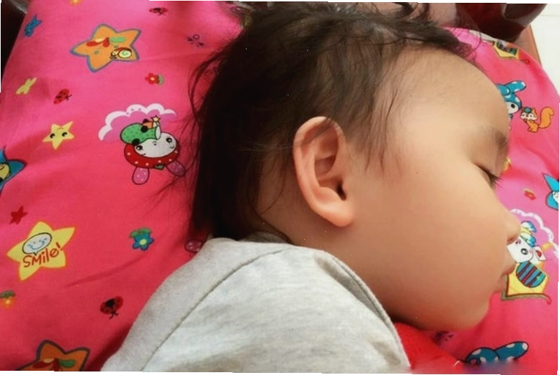 Thực hiện nhồi ruột gối và đinh lăng vào vỏ gối