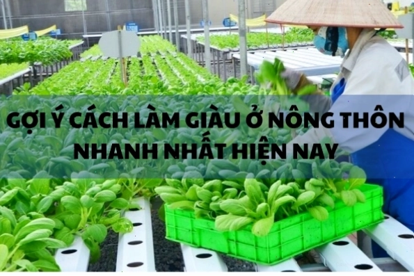 Tổng hợp các cách làm giàu hiệu quả ở nông thôn